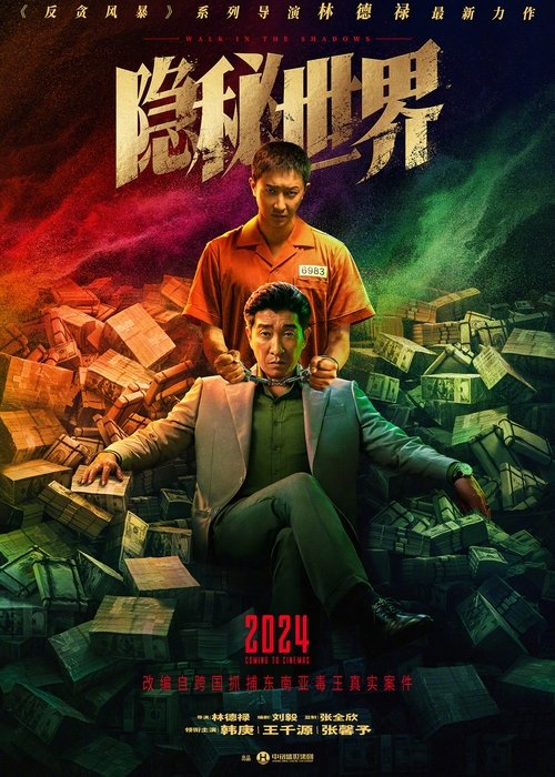 Walk in the Shadows movie poster