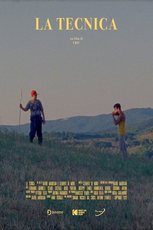 The Technique movie poster