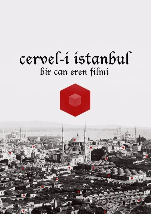 Cervel-i İstanbul movie poster
