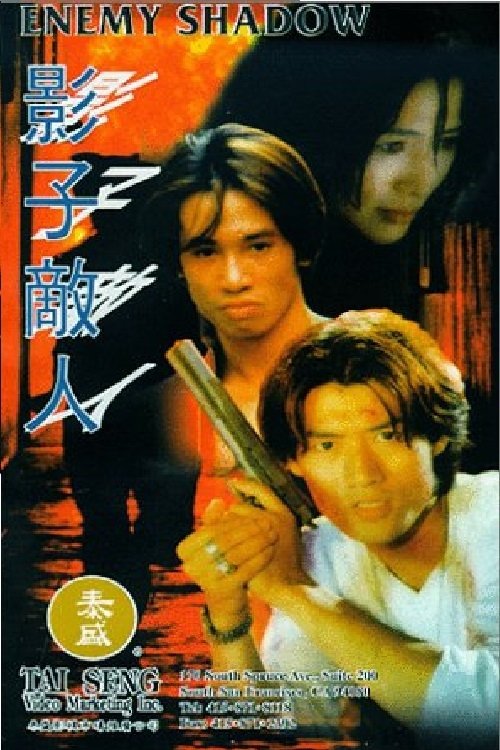 Enemy Shadow movie poster