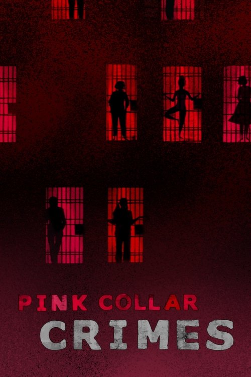 Pink Collar Crimes tv show poster