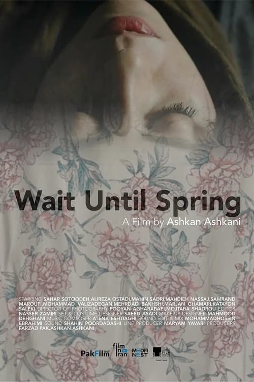 Wait Until Spring movie poster