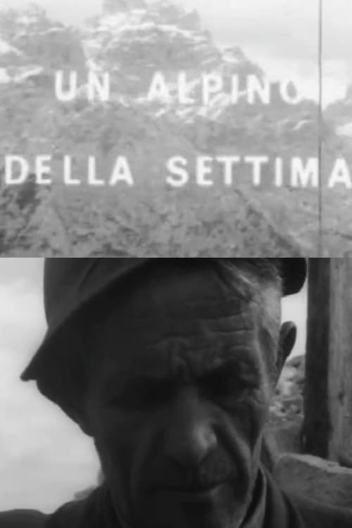 Poster do filme Un alpino della settima