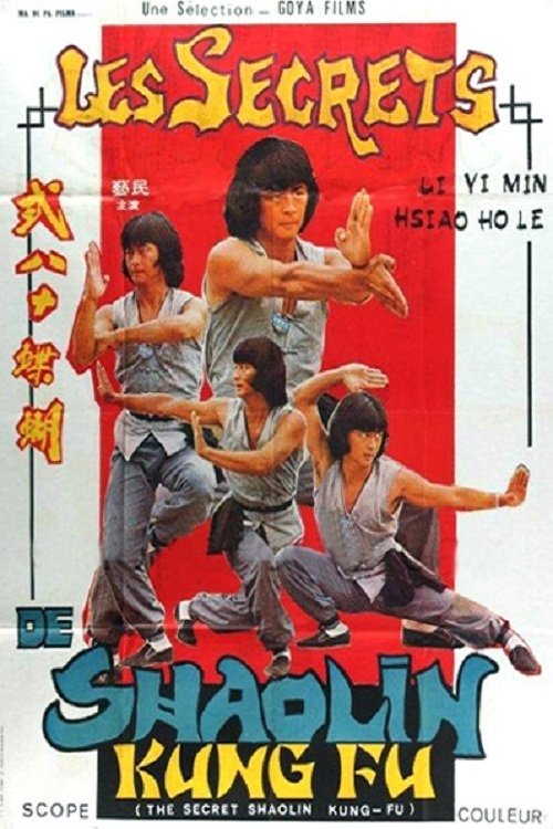 The Secret Shaolin Kung-Fu movie poster