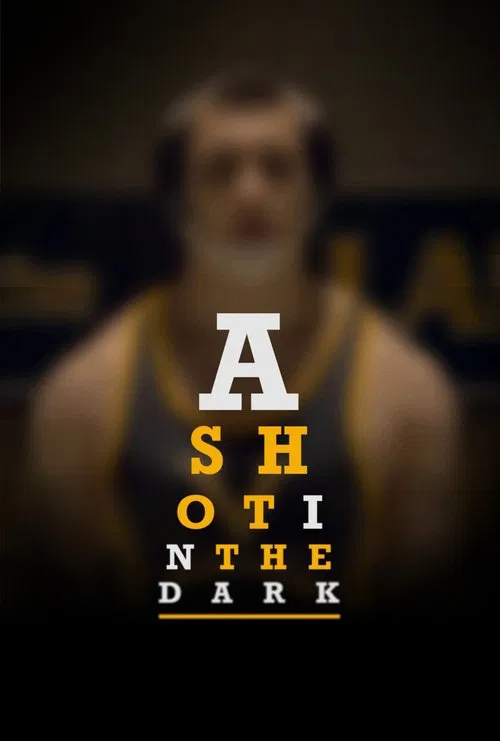 A Shot in the Dark movie poster