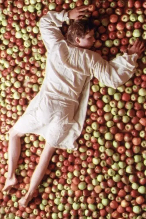 Poster do filme Fremdennacht