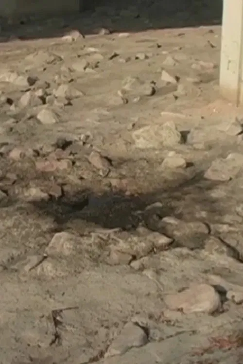 2005.1 Sandy River Water movie poster