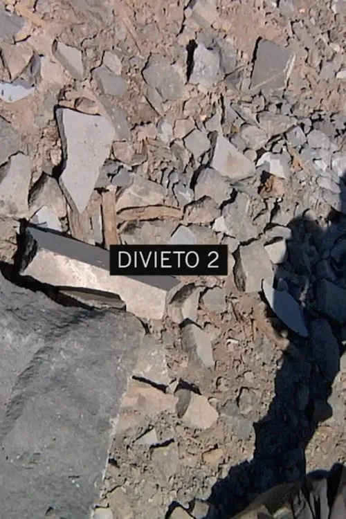 Divieto 2 movie poster