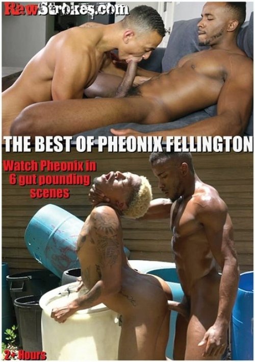 Poster do filme The Best of Pheonix Fellington