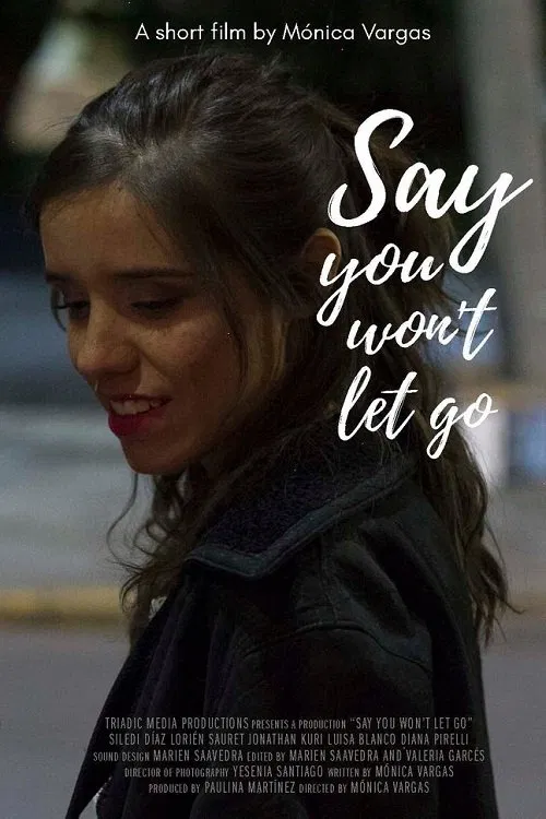 Say You Won't Let Go movie poster