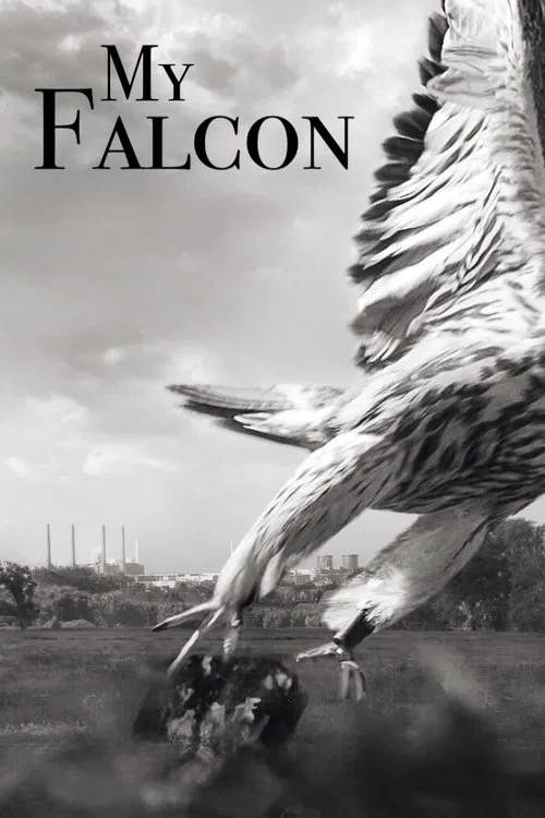My Falcon movie poster