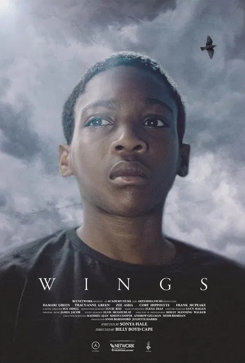 Wings movie poster