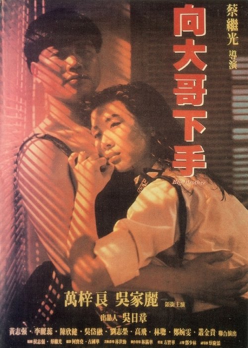 Big Brother movie poster