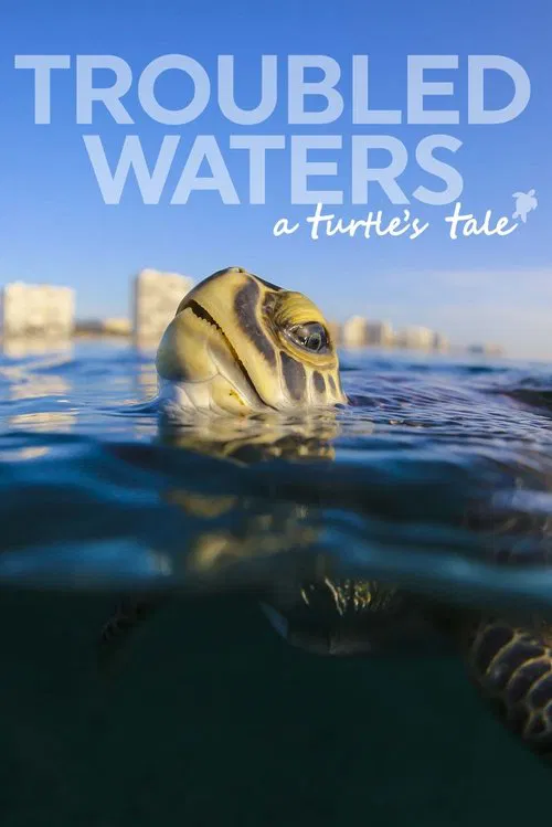 Troubled Waters: A Turtle's Tale movie poster