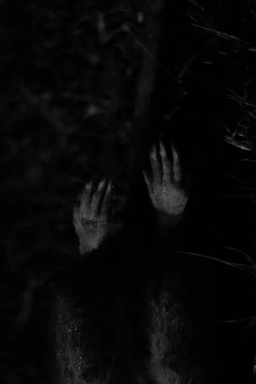 Cadaverous Sonneteer movie poster