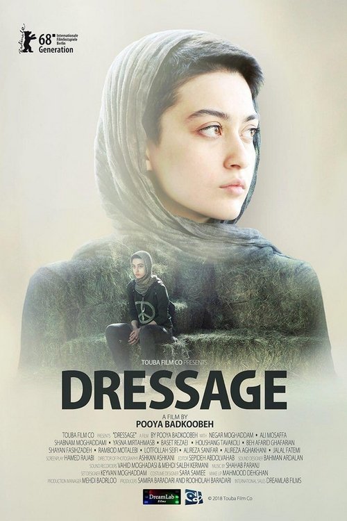 Dressage movie poster