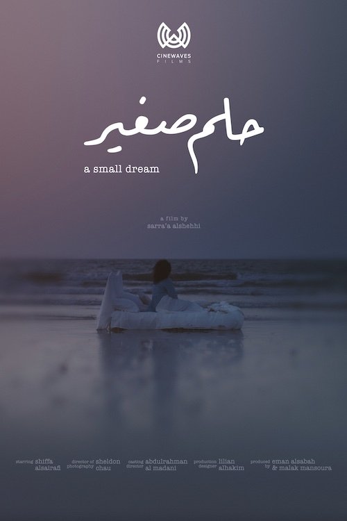 Poster do filme A Small Dream
