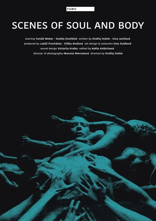 Poster do filme Scenes of Soul and Body