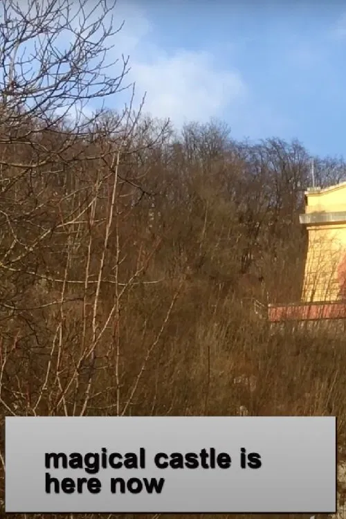 Magical Castle Is Here Now movie poster