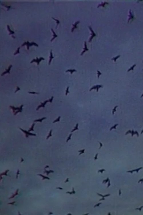 Встреча на острове movie poster