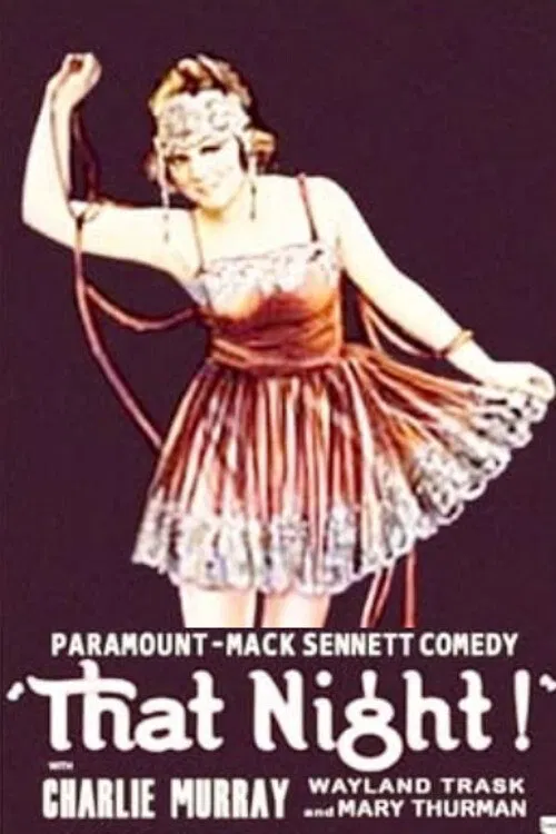 Poster do filme That Night