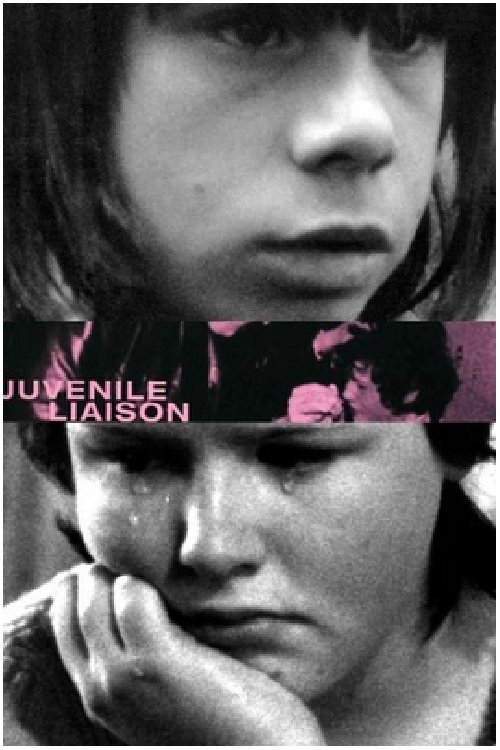 Juvenile Liaison movie poster