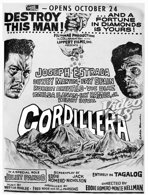 Poster do filme Cordillera