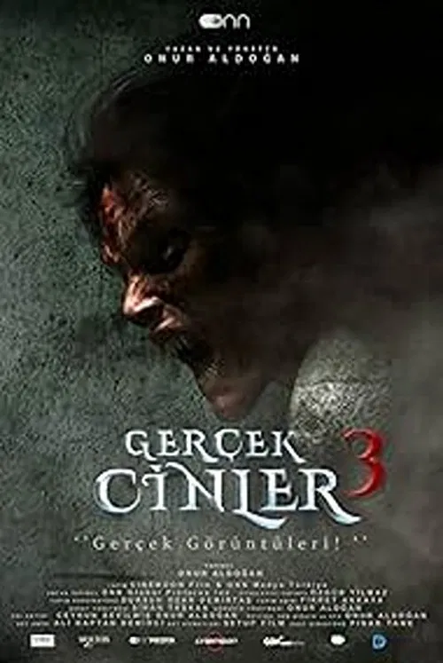 Poster do filme Gerçek Cinler 3