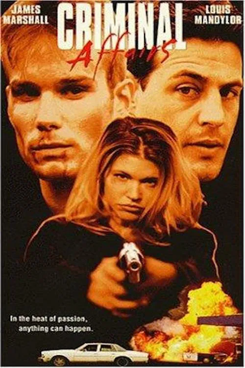 Criminal Affairs movie poster