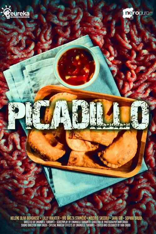 Picadillo movie poster