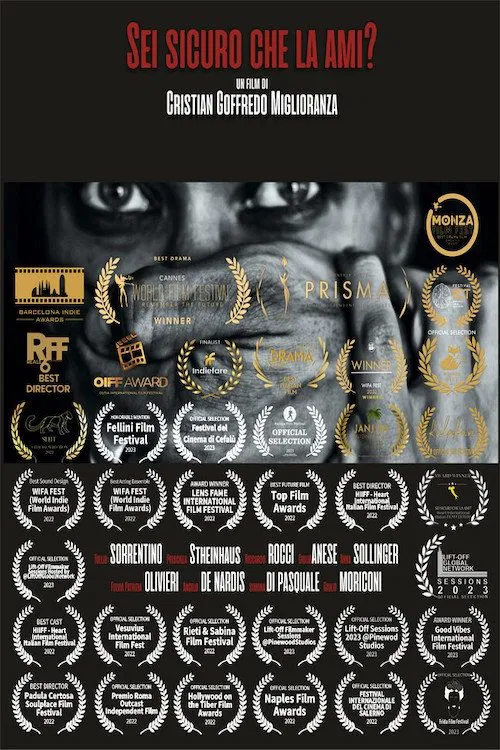 Sei sicuro che la ami? movie poster