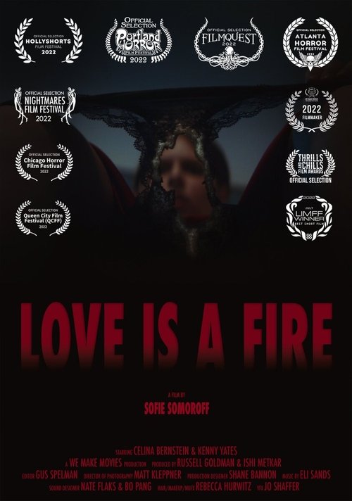 Poster do filme Love is a Fire