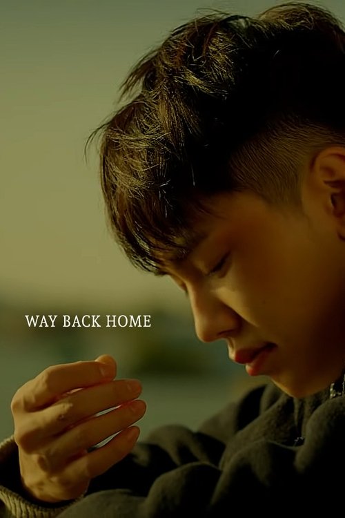 Way Back Home movie poster