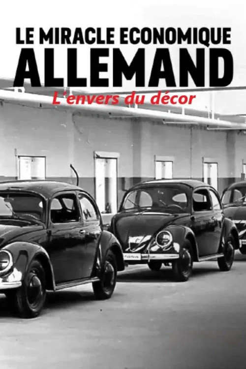 Stolen economic miracle - the whitewashed past of the Germans movie poster