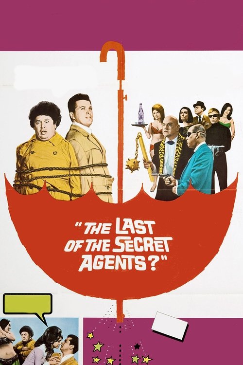 The Last of the Secret Agents? movie poster