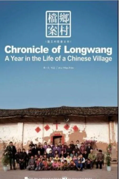 THE LONGWANG CHRONICLES: A YEAR OF LIFES IN A CHINESE VILLAGE movie poster
