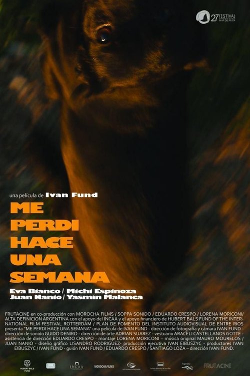 Me perdí hace una semana movie poster
