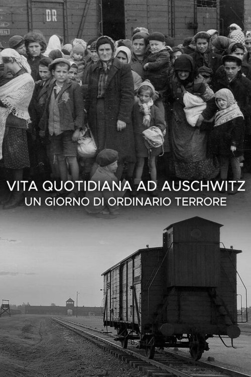 Vita quotidiana ad Auschwitz - Un giorno di ordinario terrore movie poster