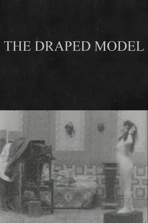 The Draped Model movie poster