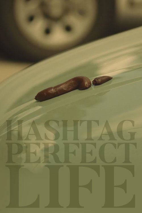Hashtag Perfect Life movie poster