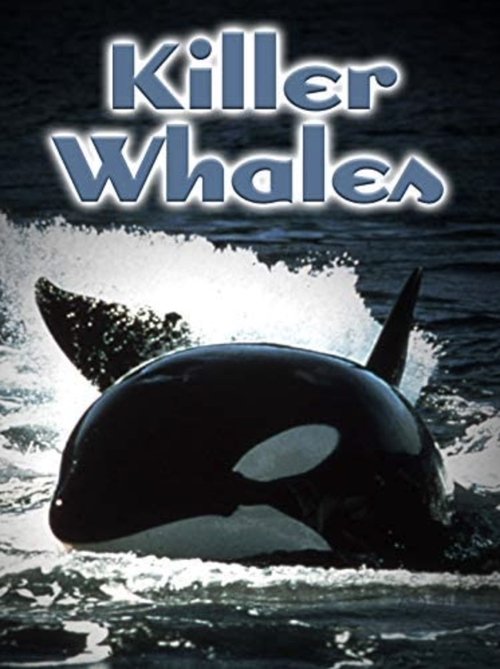 Killer Whales: Up Close and Personal movie poster