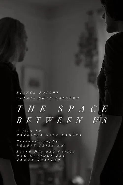 The Space Between Us movie poster