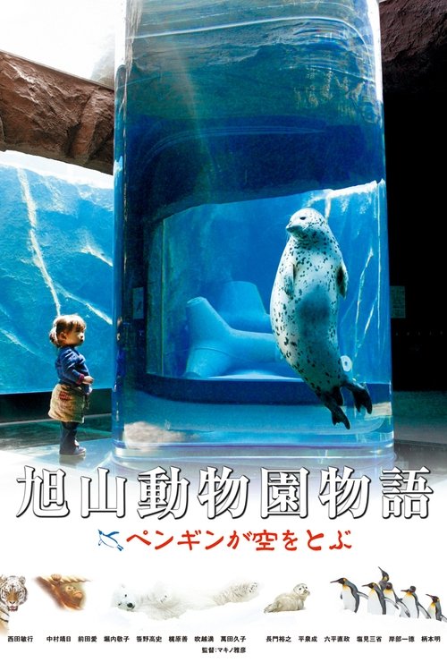 Asahiyama Zoo Story: Penguins in the Sky movie poster