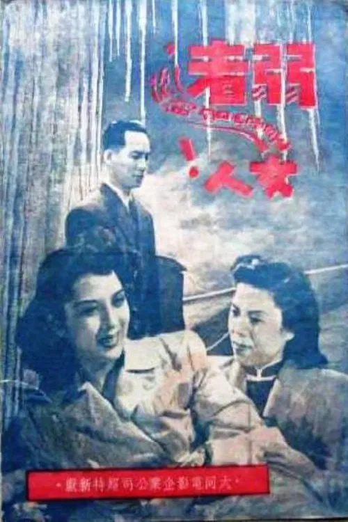 姊妹劫 movie poster