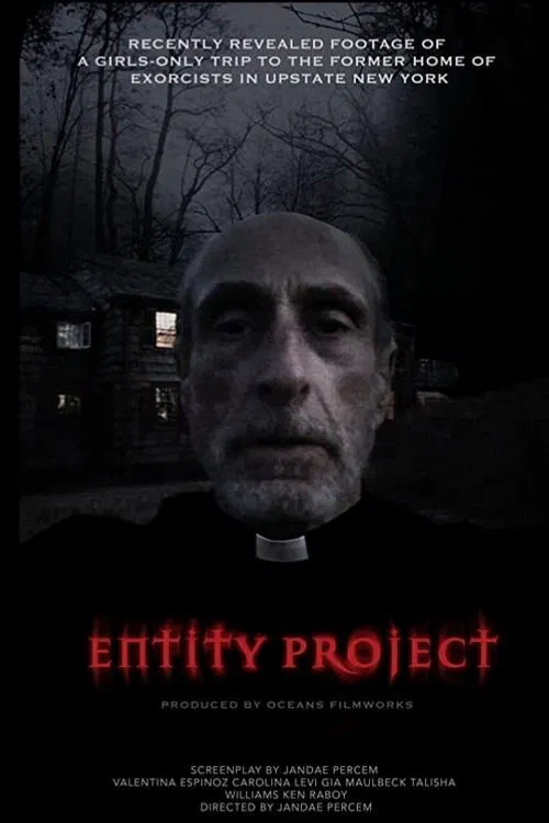 Entity Project movie poster
