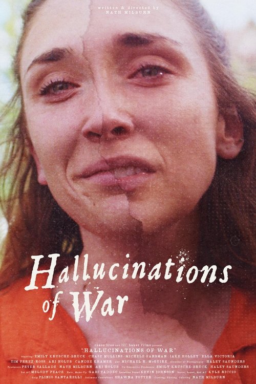 Hallucinations of War movie poster