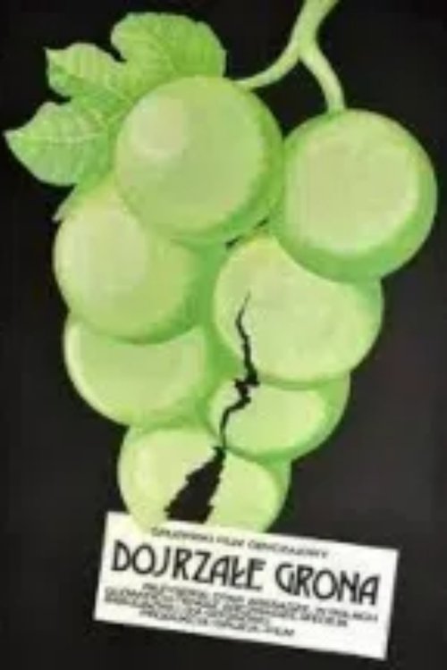 Ripe Bunches movie poster