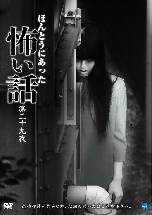 Scary True Stories: Night 29 movie poster