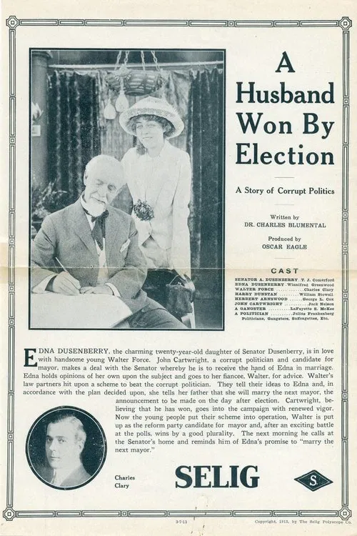 Poster do filme A Husband Won by Election