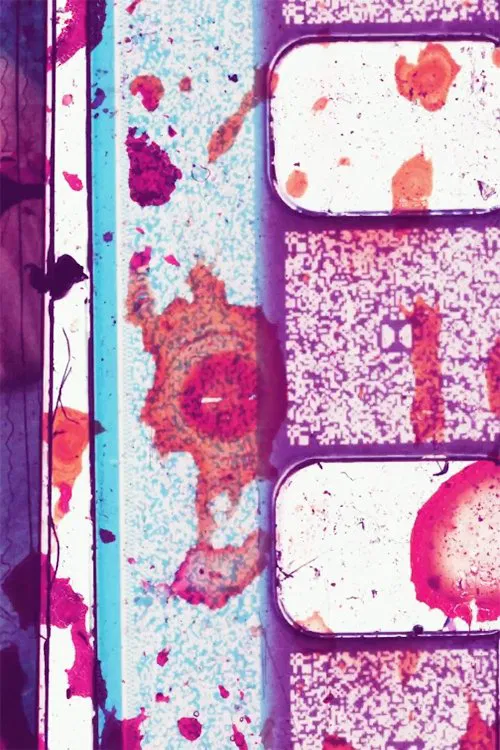 NE Corridor movie poster